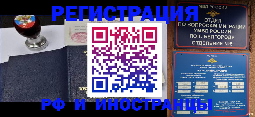 временная регистрация поиск в Тереке